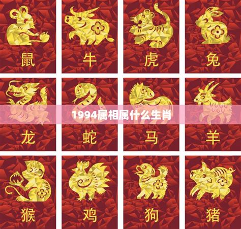 1994生肖|1994年属什么生肖